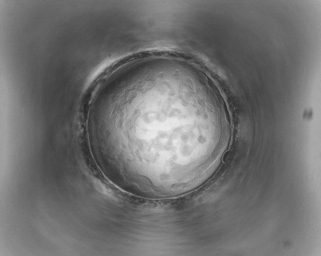 X0000091641400200709060927