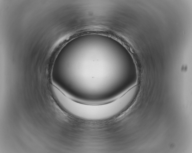 X0000091641402200709060927