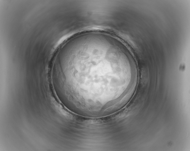 X0000091641404200709060927
