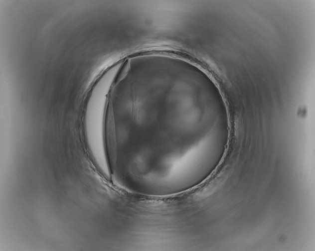 X0000091641405200709060927
