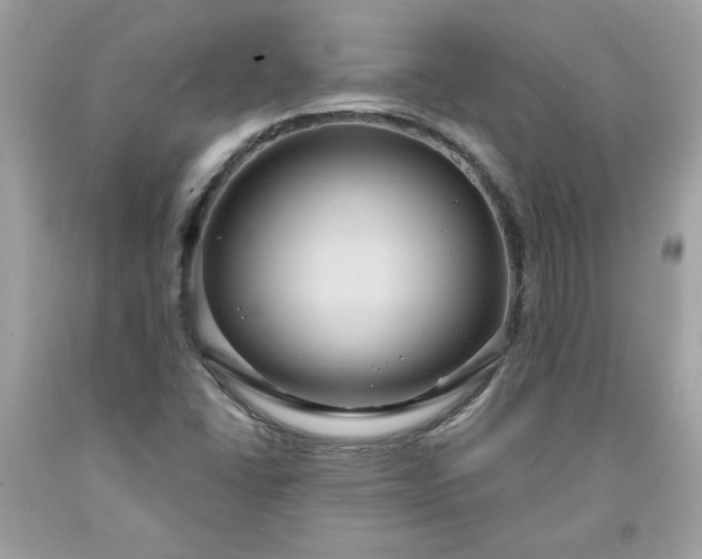 X0000091641406200709060927