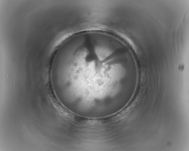 X0000091641407200709060927