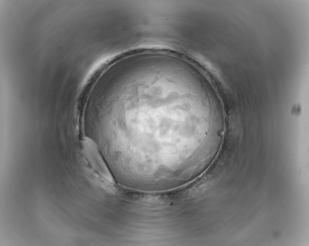 X0000091641408200709060927