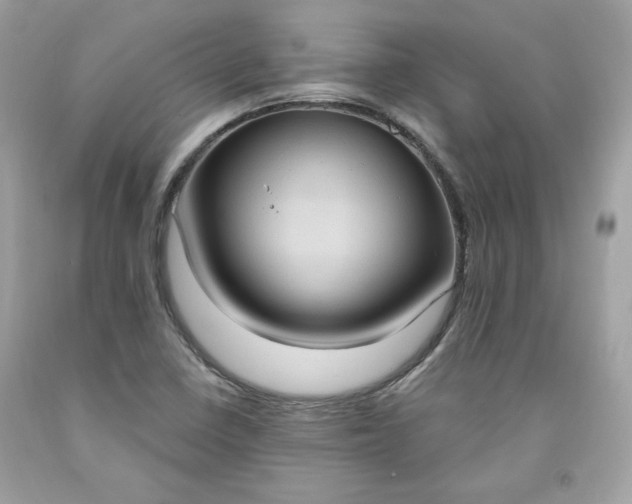 X0000091641410200709060927