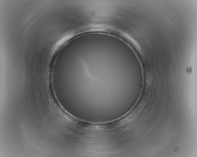 X0000091641411200709060927