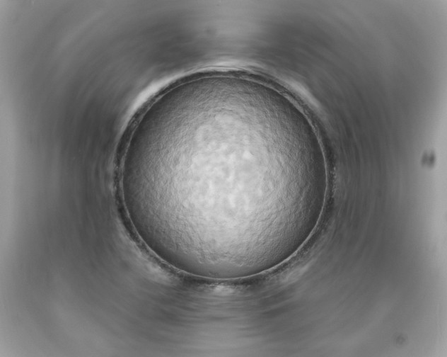 X0000091641412200709060927
