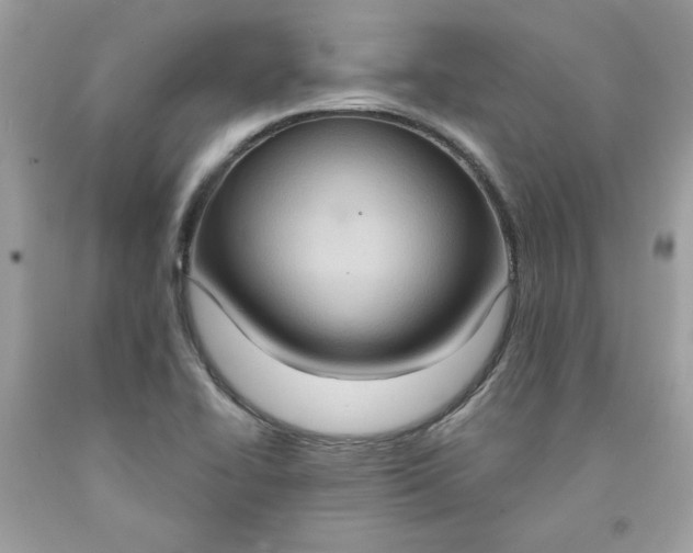 X0000091641414200709060927