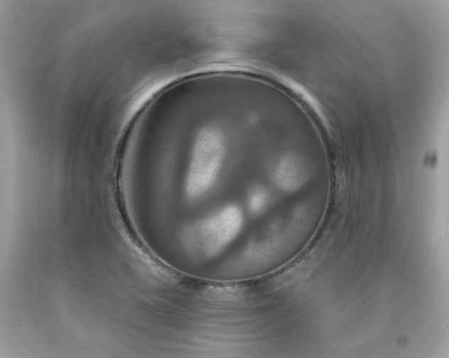 X0000091641415200709060927
