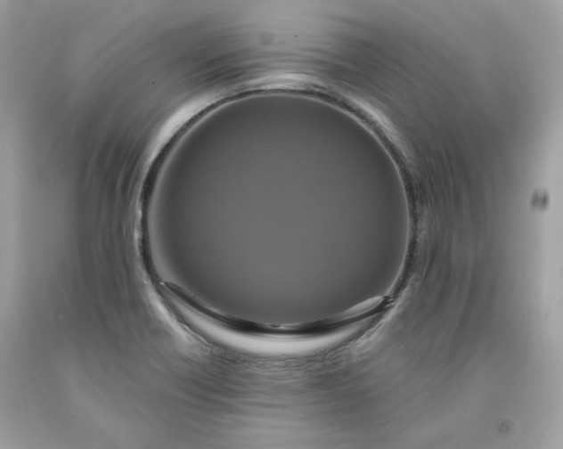 X0000091641418200709060927