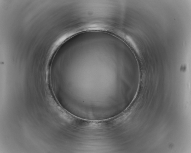 X0000091641419200709060927