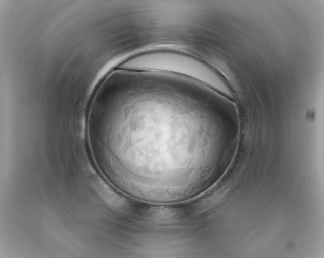 X0000091641420200709060927