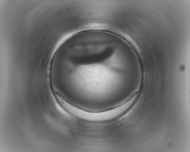 X0000091641421200709060927