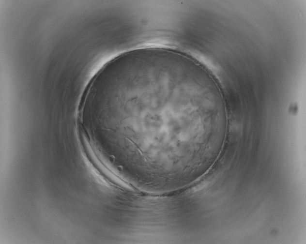 X0000091641423200709060927