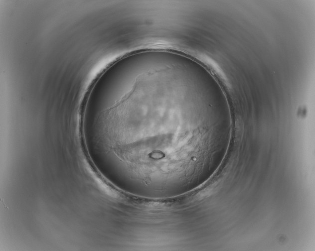 X0000091641424200709060927