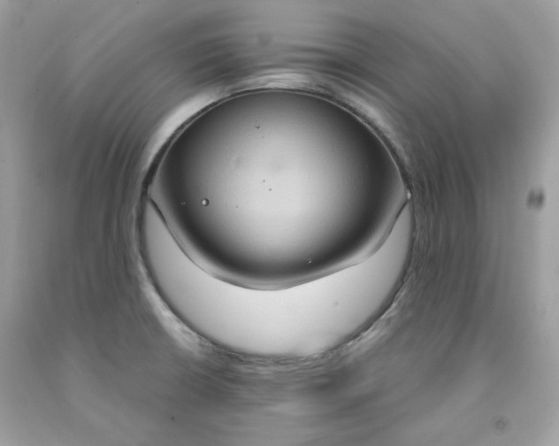 X0000091641426200709060927