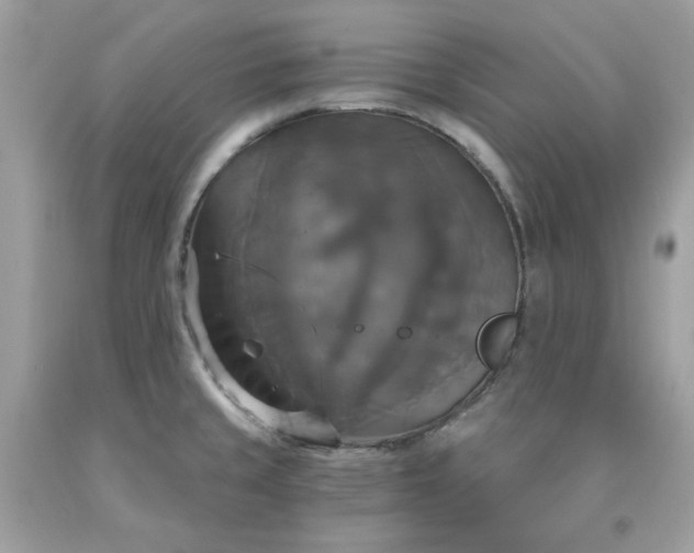 X0000091641429200709060928