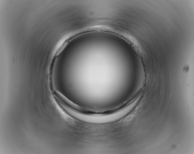 X0000091641430200709060928