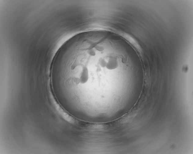 X0000091641431200709060928