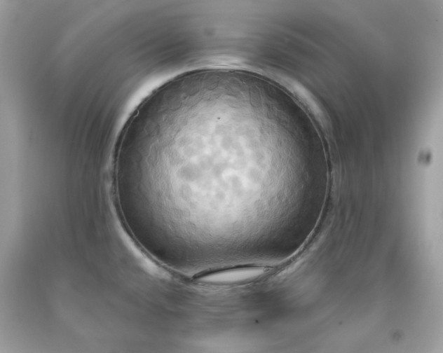 X0000091641432200709060928