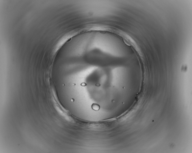 X0000091641433200709060928