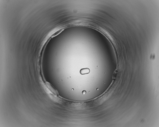 X0000091641434200709060928