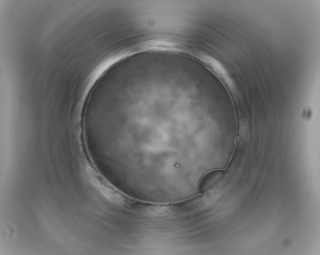 X0000091641435200709060928