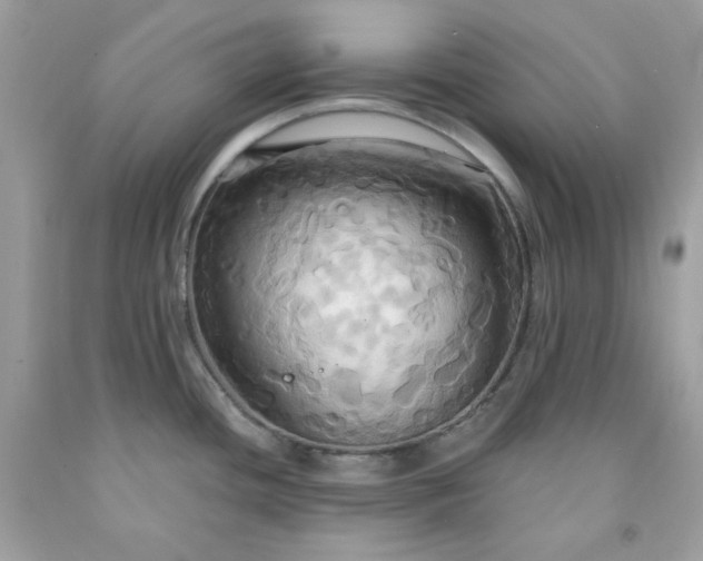 X0000091641436200709060928
