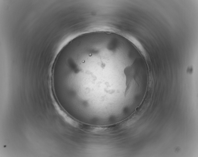 X0000091641439200709060928