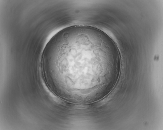 X0000091641440200709060928