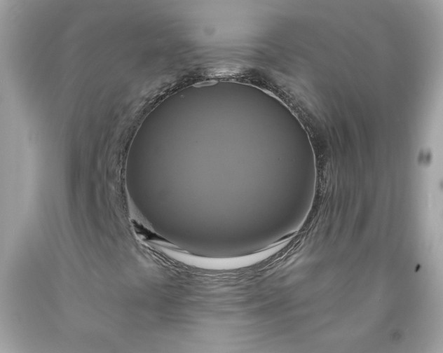X0000091641441200709060927