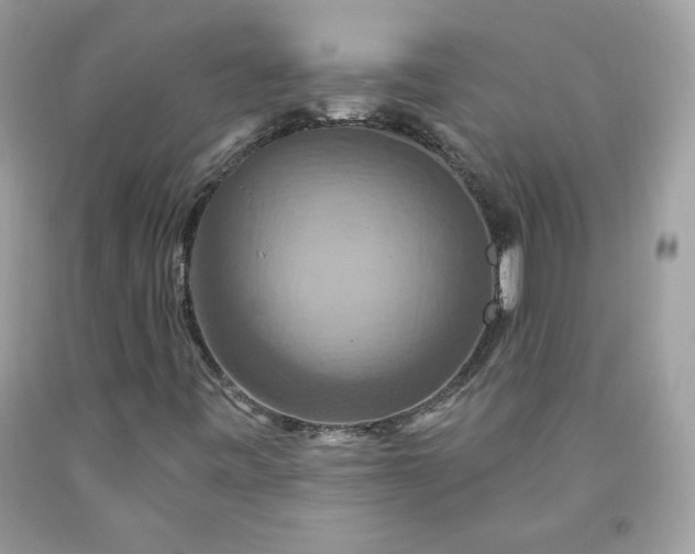 X0000091641443200709060927