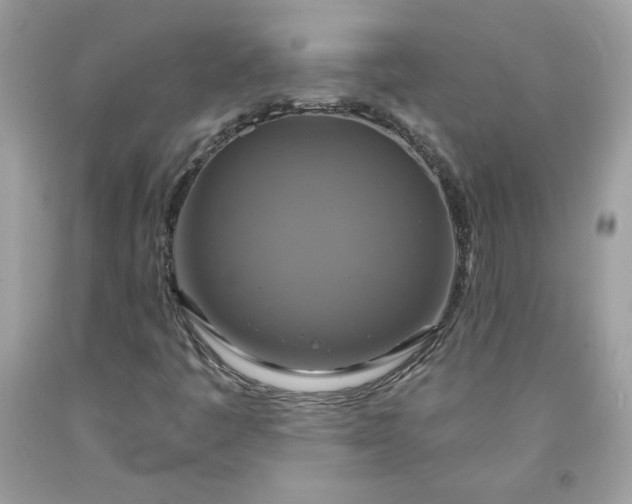 X0000091641445200709060927