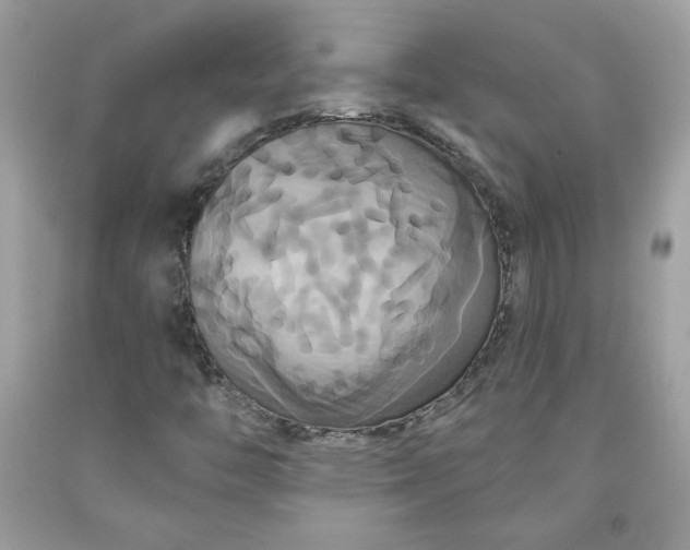 X0000091641446200709060927