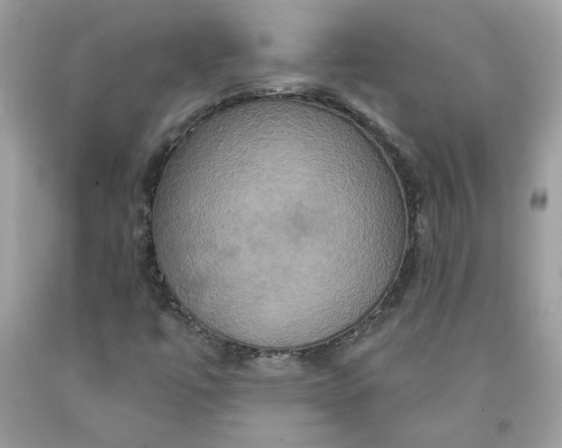 X0000091641447200709060927
