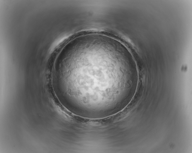 X0000091641448200709060927