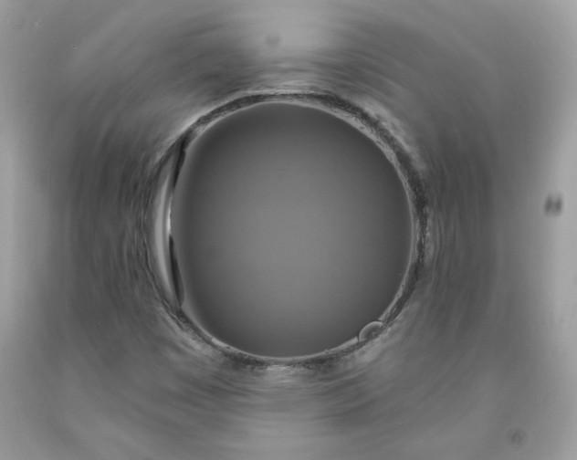 X0000091641449200709060927