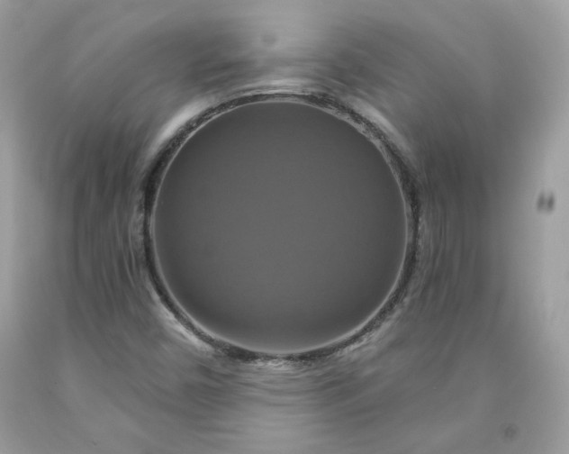 X0000091641450200709060927