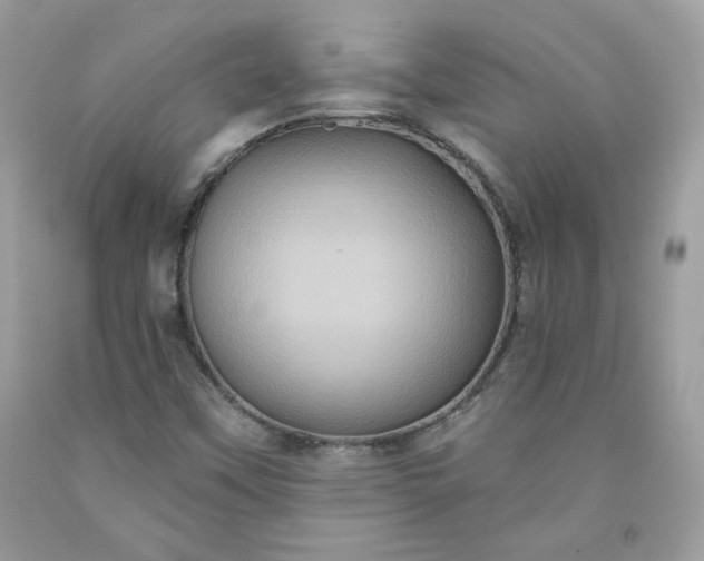 X0000091641451200709060927