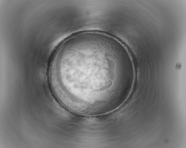 X0000091641452200709060927