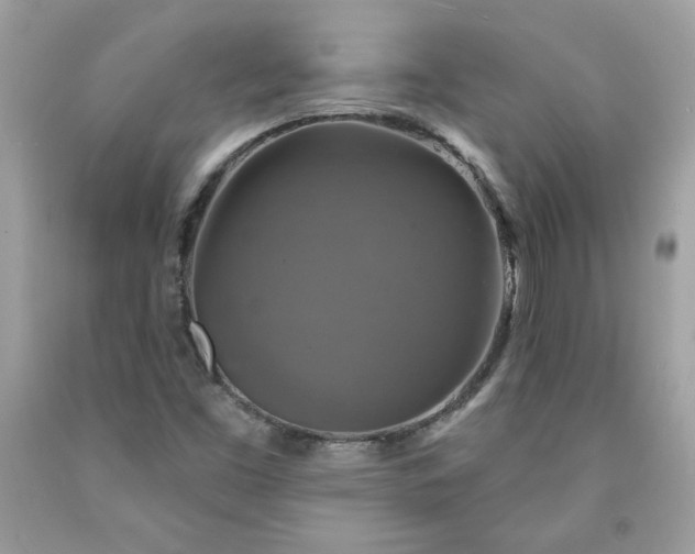 X0000091641453200709060927