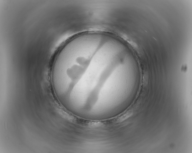 X0000091641454200709060927