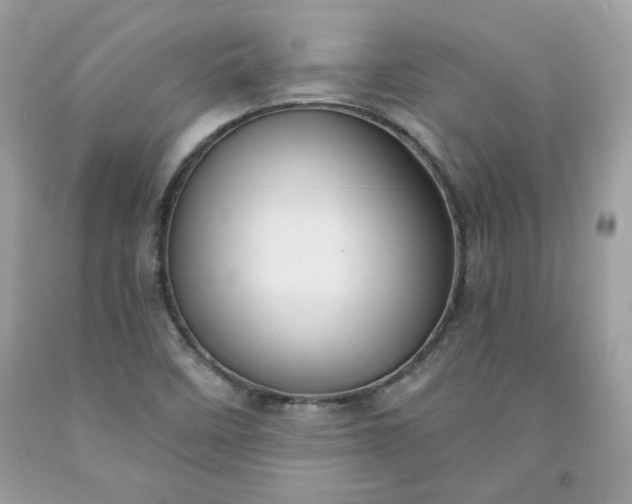 X0000091641458200709060927