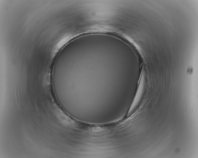 X0000091641459200709060927