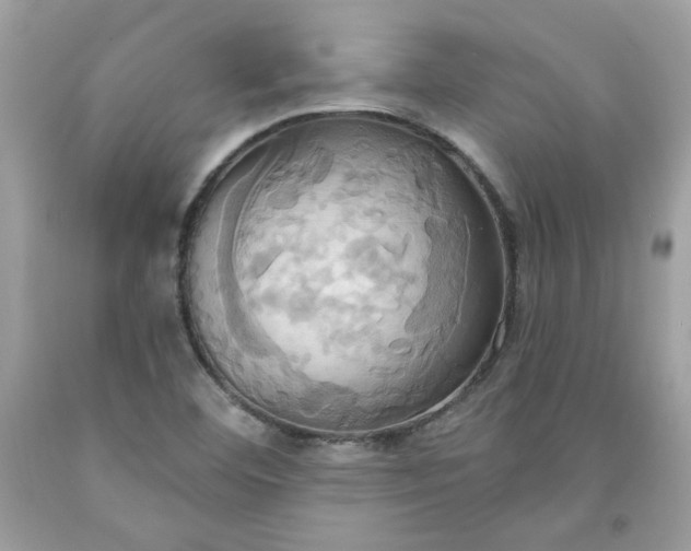 X0000091641460200709060927