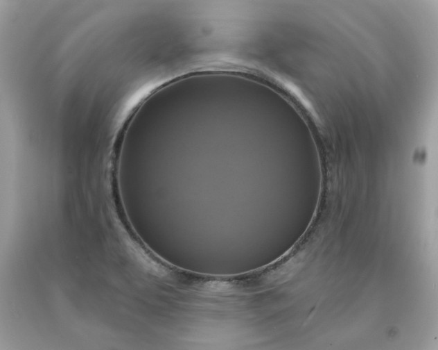 X0000091641463200709060927