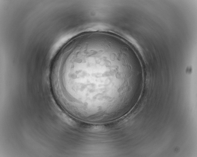 X0000091641464200709060927