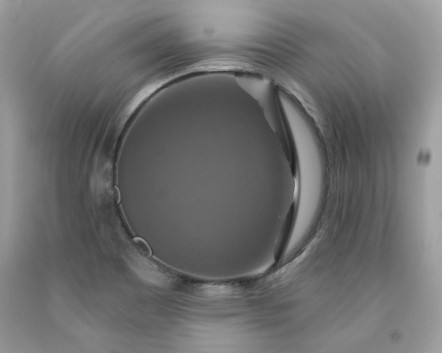 X0000091641465200709060927