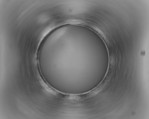 X0000091641466200709060927