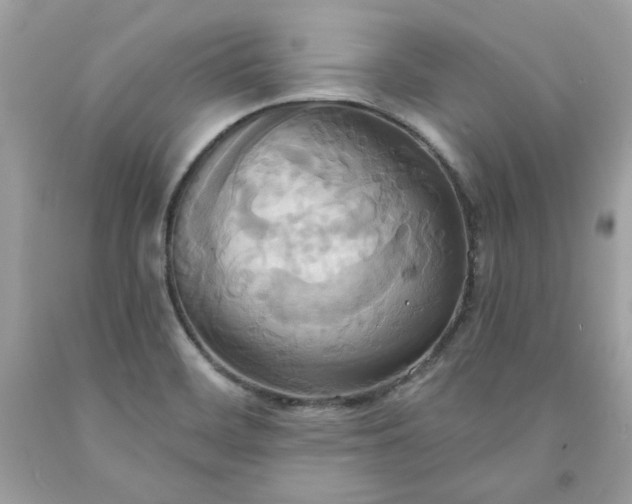 X0000091641468200709060927