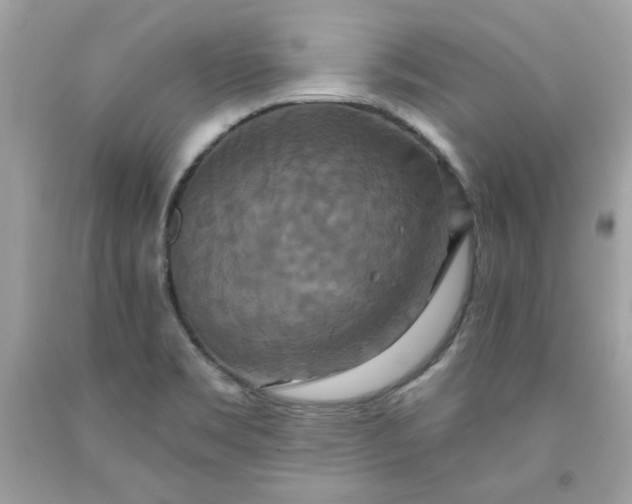 X0000091641469200709060927